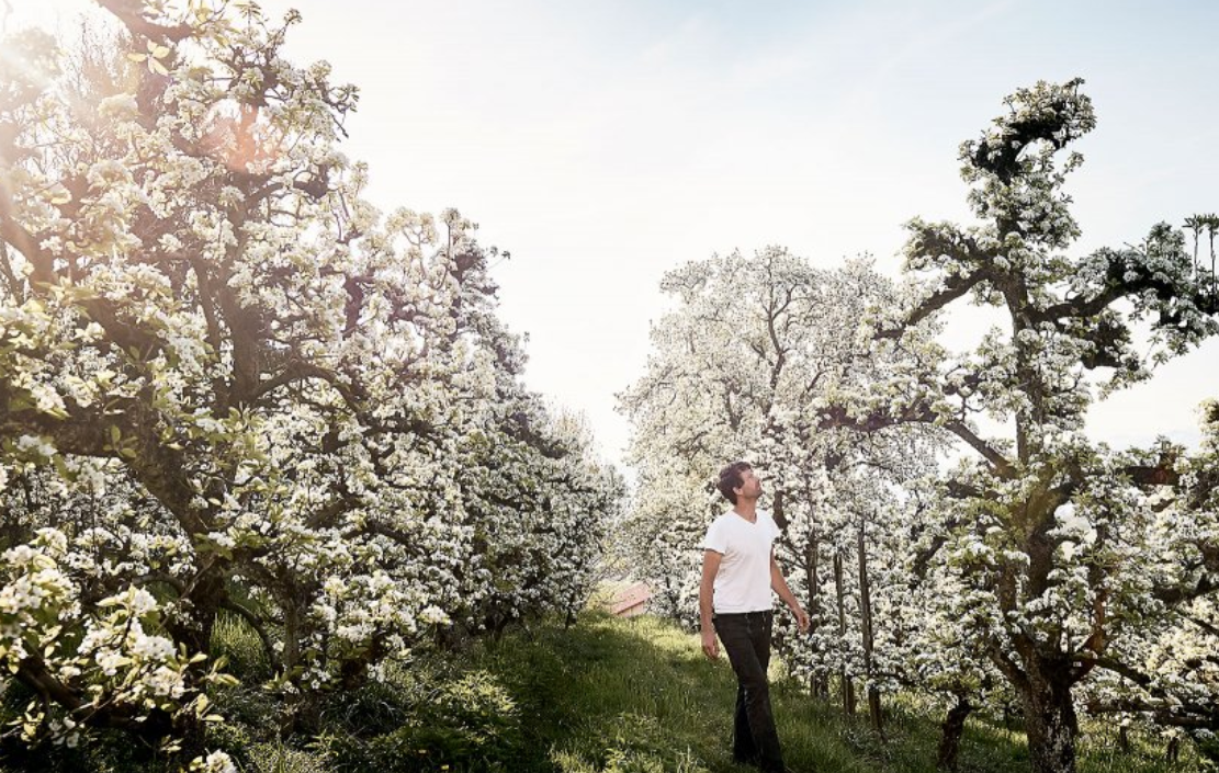 Apfel Topaz Bio regional