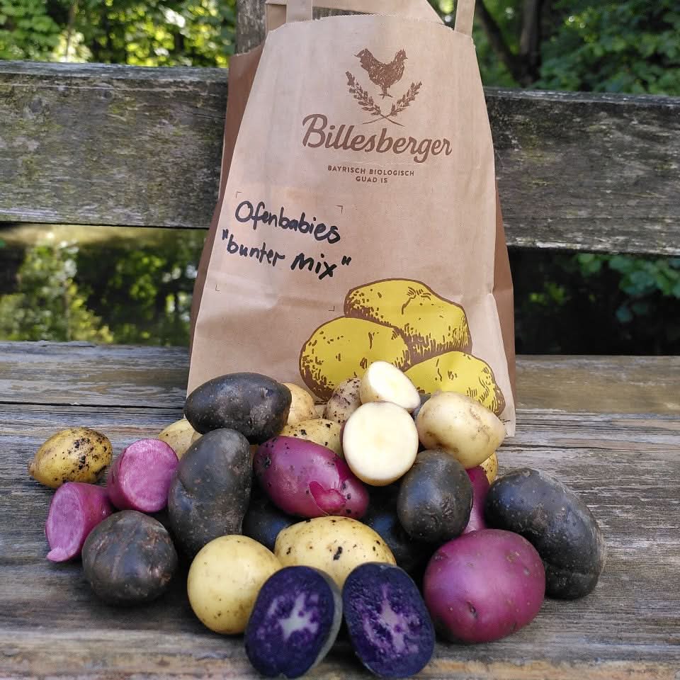 Bio Kumquats von Andrea Sizilien Aktionspreis % 500g