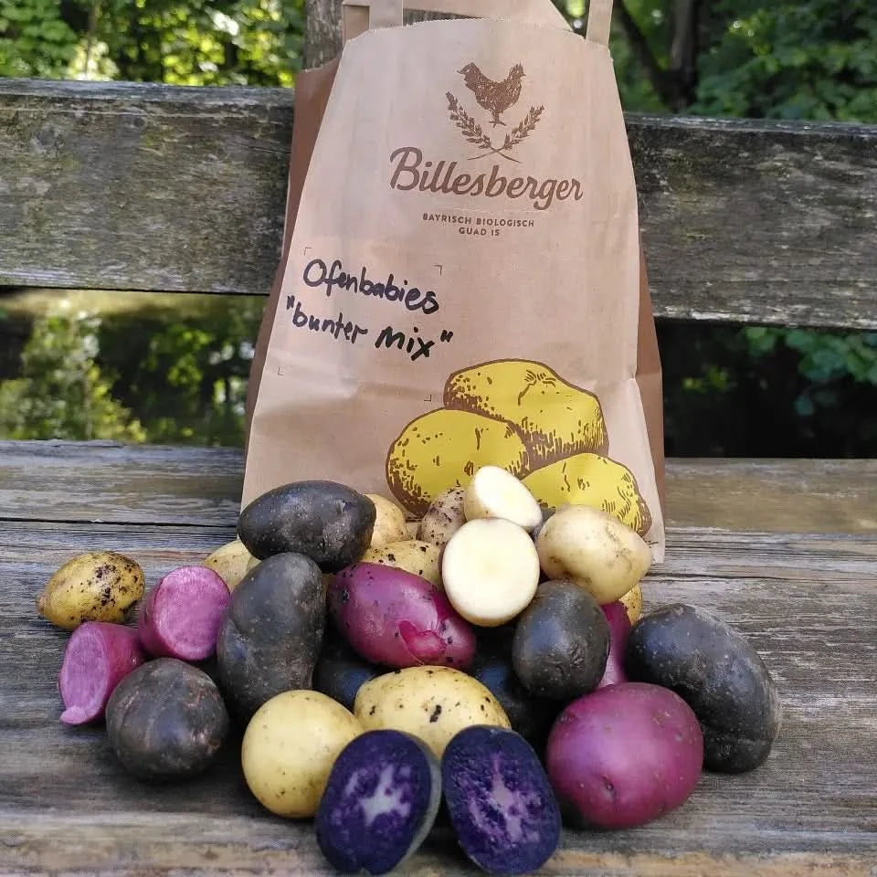 Kartoffelvariationen bunt Bio regional