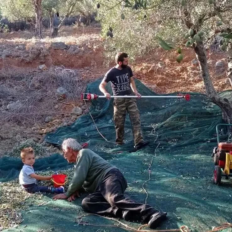 Bio Natives Olivenöl Extra Kreta von Apostolis