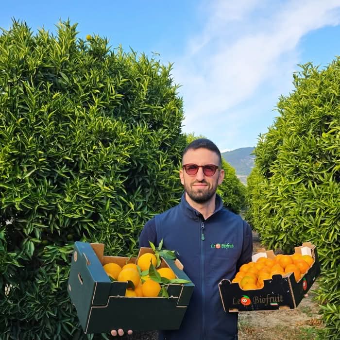 Clementinen "Comune" mit Blatt Kalabrien Bio Sparpreis-Box