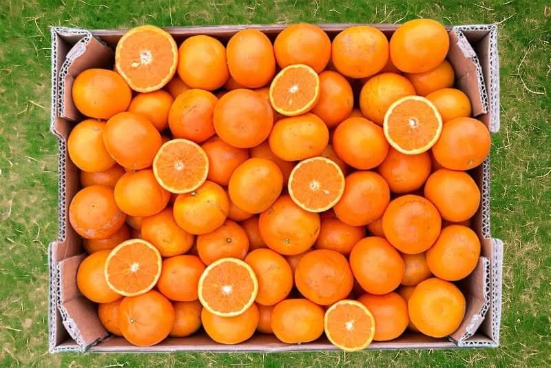 Bio Edel Clementinen „Orri“