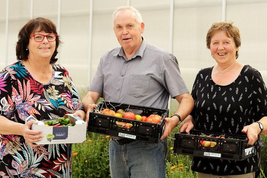 Dattel-Rispentomaten Flavorino Bio regional