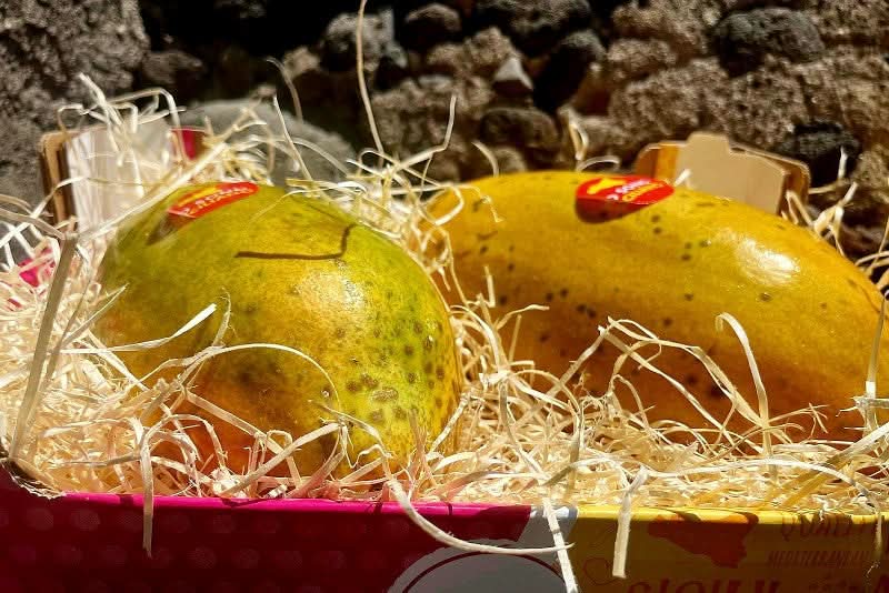 Vulkan Papayas Bio von Andrea aus Sizilien Aktions-Box