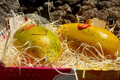 Vulkan Papayas Bio von Andrea aus Sizilien Aktions-Box