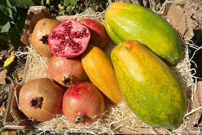 Superfruit Duo Bio Box