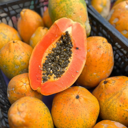 Papaya Bio von Julian Retterbox 4kg