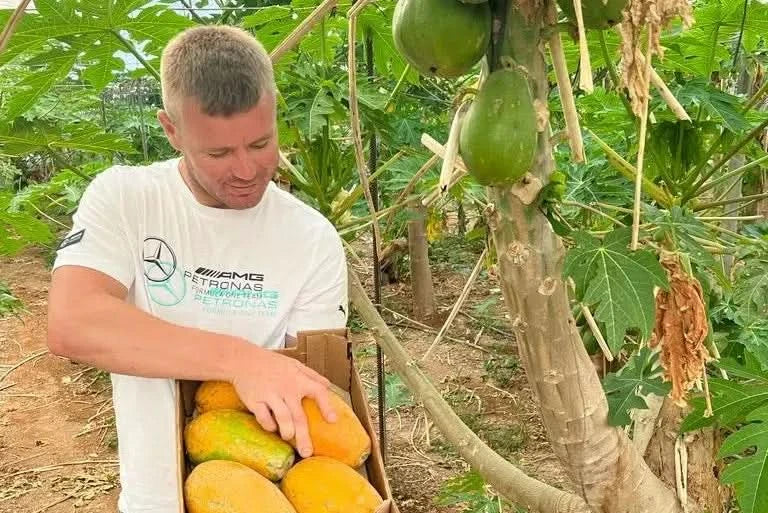 Superfruit Duo Bio Box