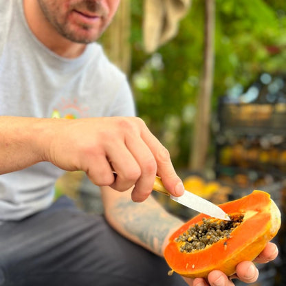 Papaya Bio von Julian Retterbox 4kg