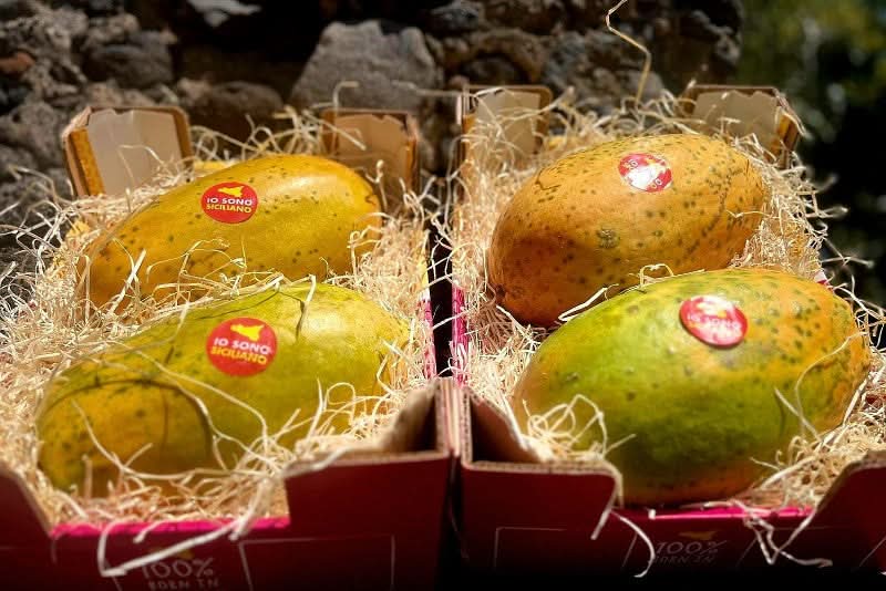 Vulkan Papayas Bio von Andrea aus Sizilien Aktions-Box