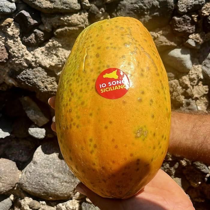 Vulkan Papayas Bio von Andrea aus Sizilien Aktions-Box