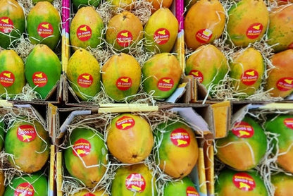 Vulkan Papayas Bio von Andrea aus Sizilien Aktions-Box