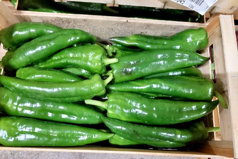 Paprika Corne de Beuf grün Bio