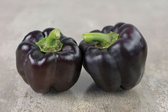 Bio Paprika-Rarität schwarz 500g