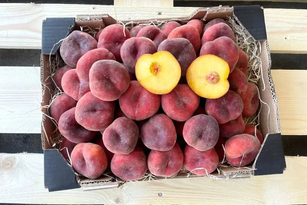 Weinbergpfirsiche Bio Griechenland