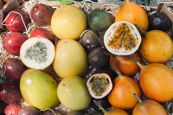 "Passiflora Lovers" Maracuja-Mix Flash-Aktion