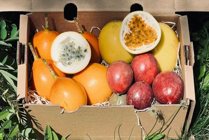 "Passiflora Lovers" Maracuja-Mix Flash-Aktion