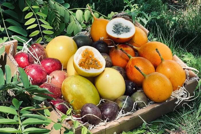 "Passiflora Lovers" Maracuja-Mix Flash-Aktion