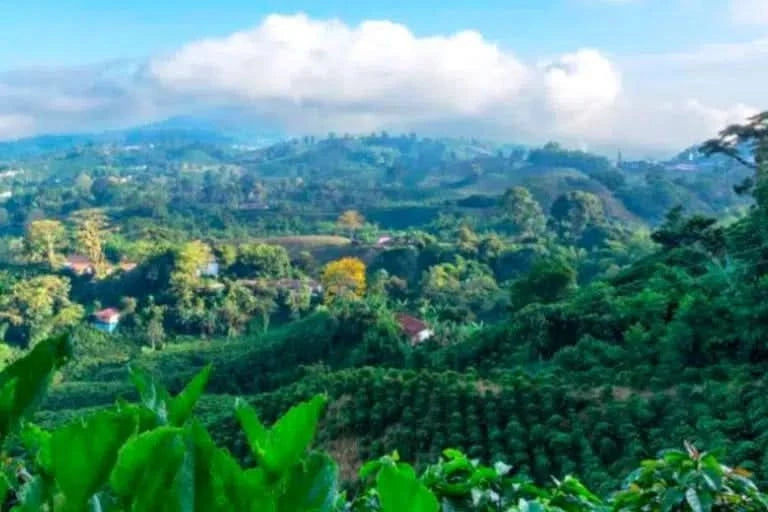 Passionsfrüchte lila Gulupa kaufen – Anbaugebiet in den Anden mit nachhaltiger Bio-Landwirtschaft