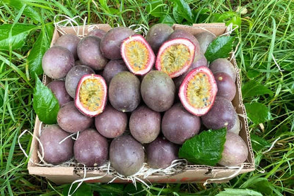 Passionsfrüchte lila Gulupa kaufen – Bio-Früchte direkt vom Bauernhof in Spanien, frisch geerntet in Holzkiste