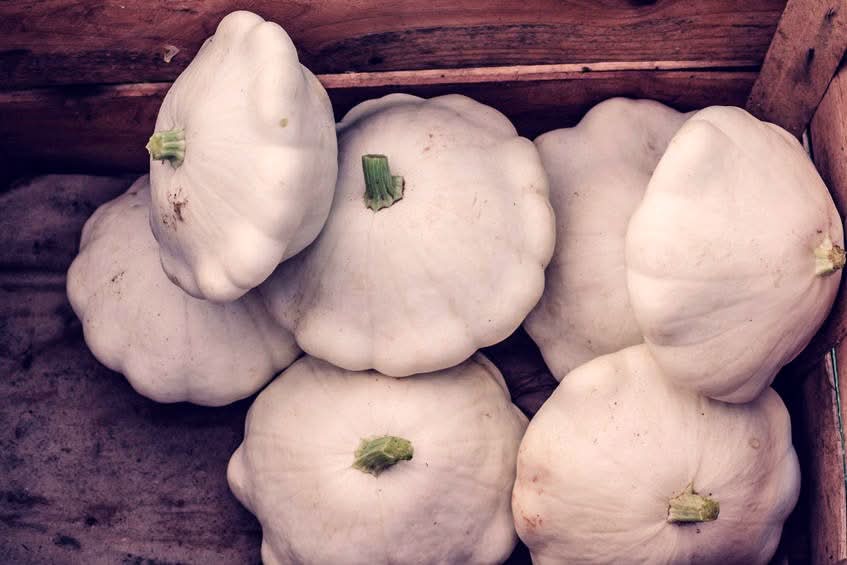 Bio Kürbis "Ufo" weiss regional 1 Stk. (ca.1 Kg)