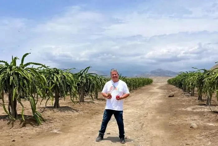 Drachenfrucht rot „American Beauty“ von Jaime