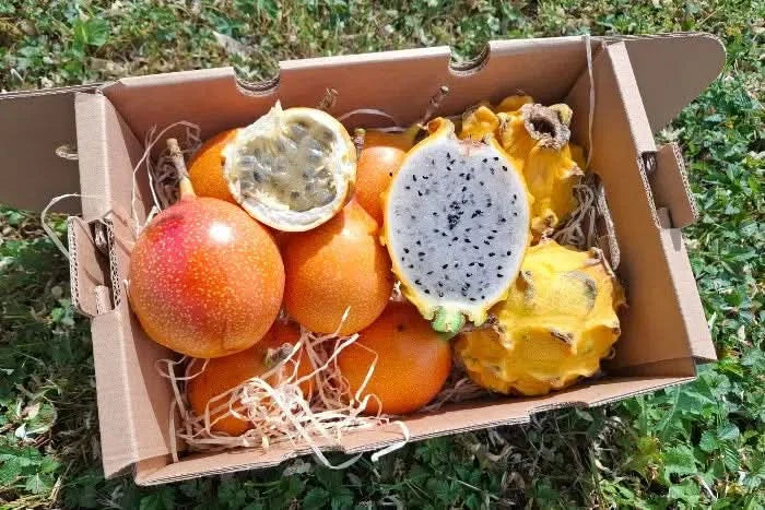 Drachenfrucht gelb & Granadilla Duo Box