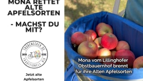 Apfelsaft Degustationsbox – alte Sorten Raritäten (6 Sorten)