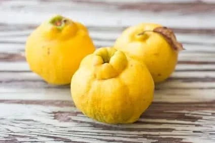 Birnenquitten Billesberger wildwuchs unbehandelt