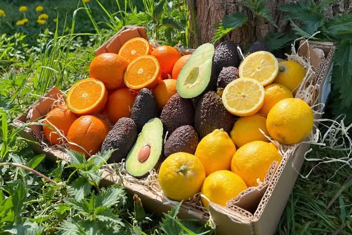 Bio Früchte Retterbox von Carlos