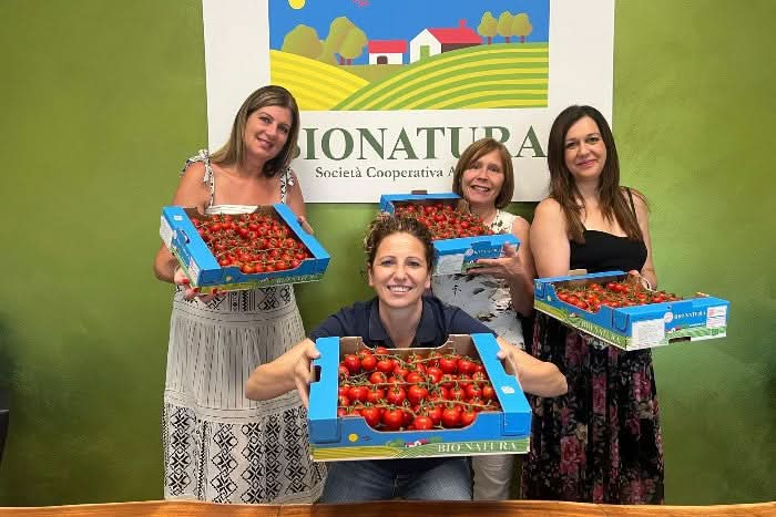 Cherry-Tomaten Bio von Elisa Sizilien Retter-Box