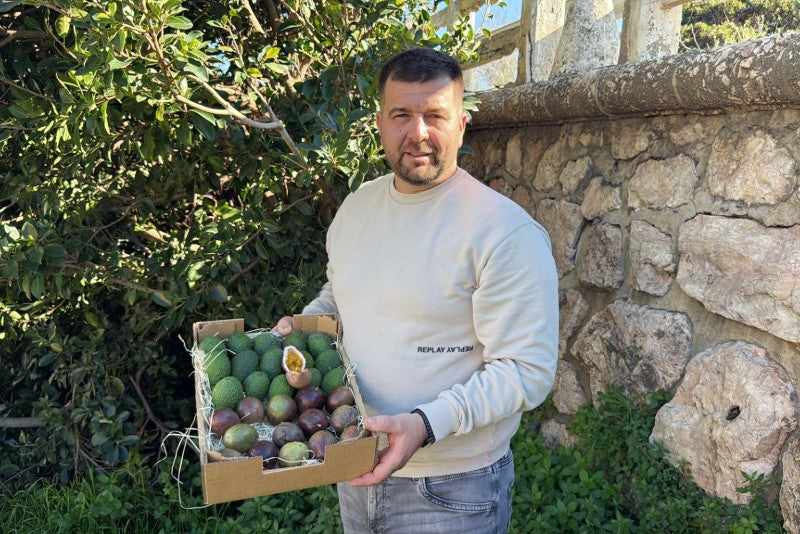 Baby Avocado & Passionsfrüchte von Juan Retterbox % 3kg