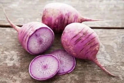 Bio Rettich lila regional 1kg