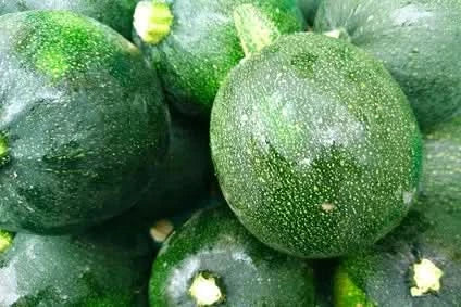 Kürbis "Rondini" Bio regional