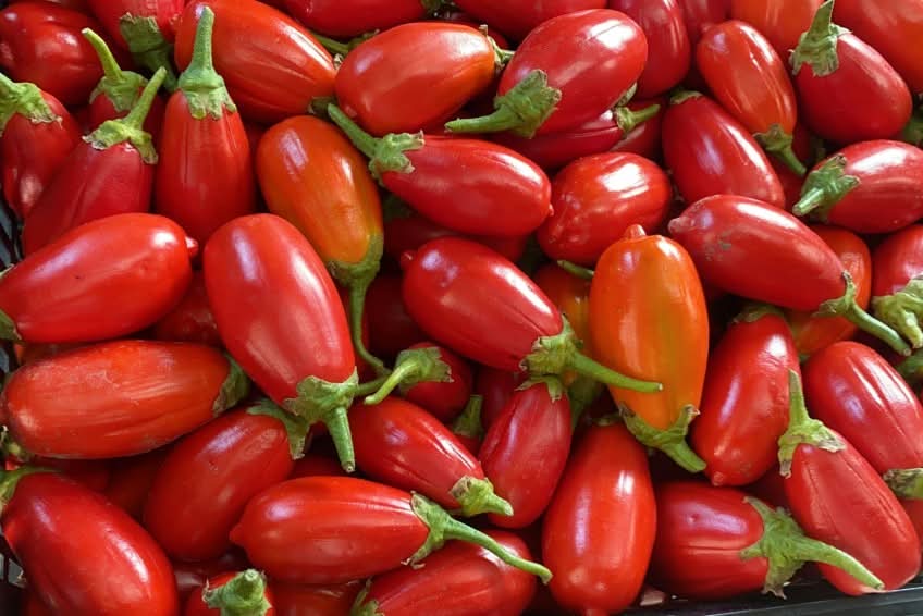 Auberginenrarität rot von Rufino wild 1kg