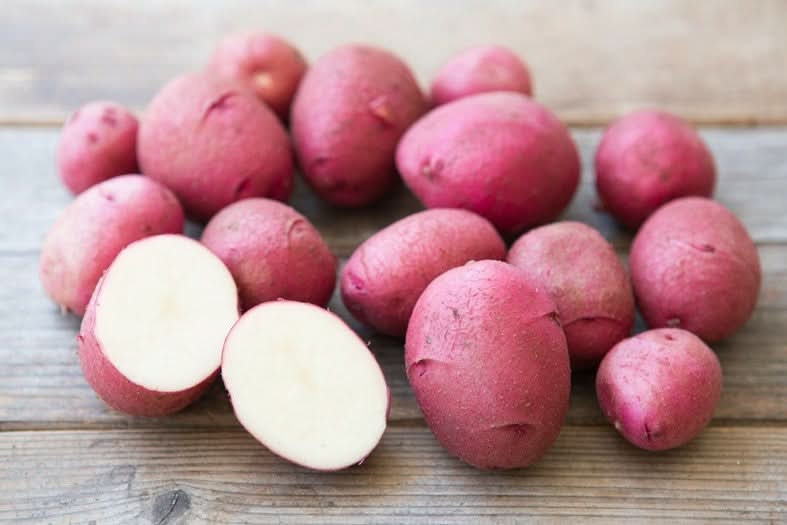 Bio Kartoffeln „Butter“ rotschalig Familie Schoof Demeter 1kg
