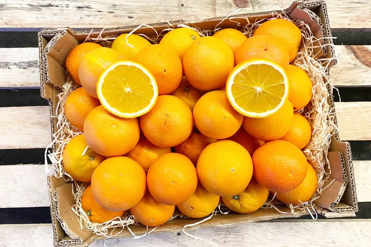 Saft-Orangen Bio aus Sizilien