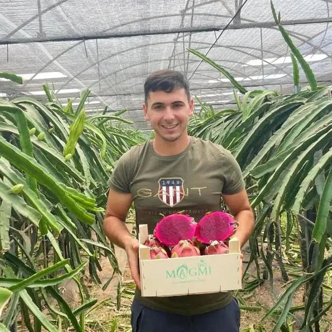 Drachenfrucht rot Bio Aktionswoche %