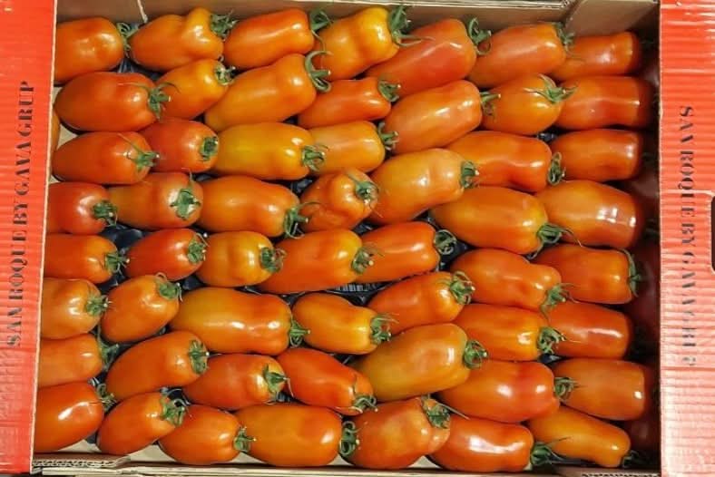 Bio Delikatess-Tomaten "San Marzano" regional Bioland 1kg