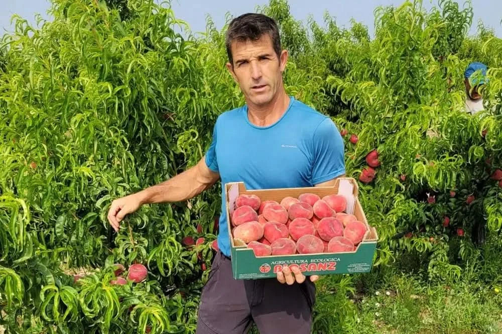 Tellernektarinen Platerinos Bio von Jose Miguel