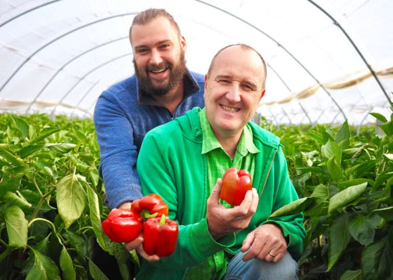 Spargelbohne (Thai-Bohne) samenfest Bio regional Demeter Bund