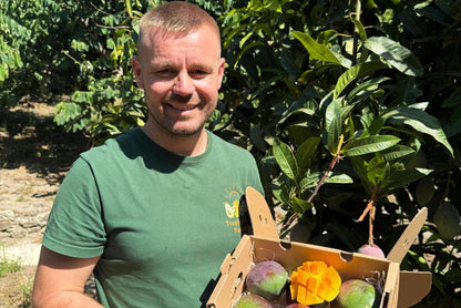 Mango Sensacion von Julian Aktionswoche %