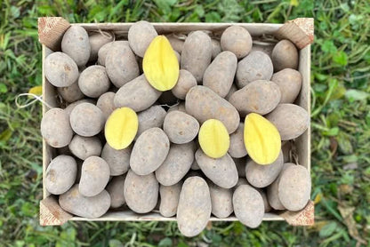 Kartoffel Simonetta festkochend Bio regional Billesberger (geschmacklich sehr gut)