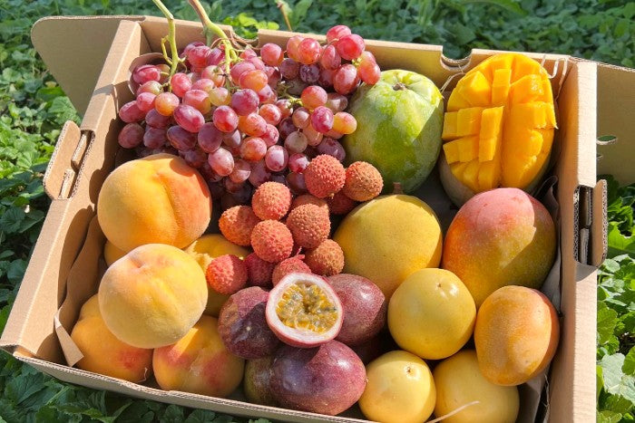 Früchtebox "Sizilianische Vulkanliebe" 4kg