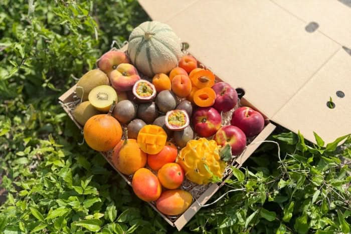 Früchtebox "Sommerträume"