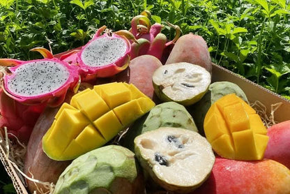 Obstbox "Andalusischer Sommertraum" von Julian