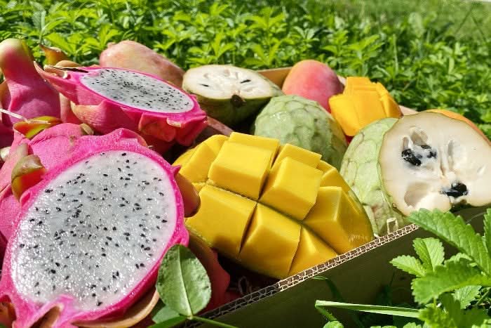 Obstbox "Andalusischer Sommertraum" von Julian