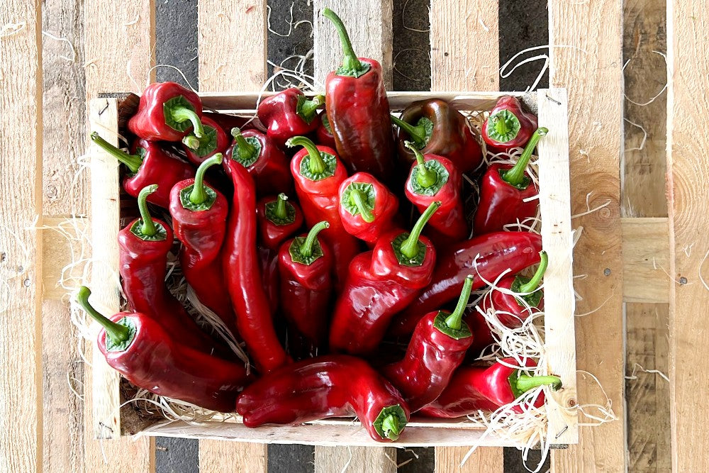 Paprika spitz Bio Zypern