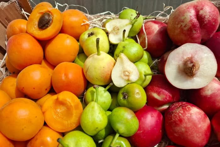 Früchtebox Bio von Nicolas