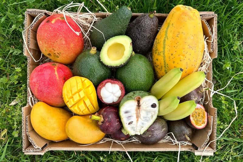 Bio Obstbox „Südamerikanische Liebe“